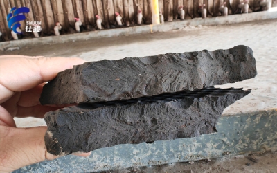為什么污泥壓濾機壓不干且稀，還粘濾布？-青島仕駿