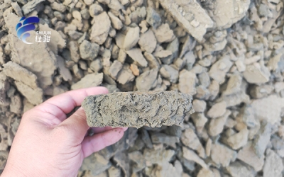 市政污泥處理，脫水藥劑的選型難點有哪些？-青島仕駿